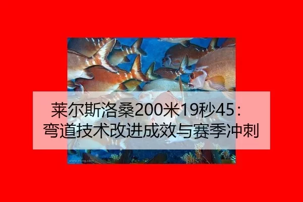 lai-er-si-luo-sang-mi-miao-wan-dao-ji-shu-gai-jin-cheng-xiao-yu-sai-ji-chong-ci-2-838.jpg